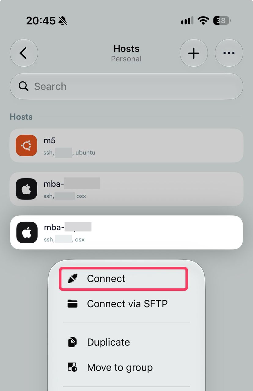 TermiusのHosts一覧で登録したMacを長押しし、Connectを選択して接続する